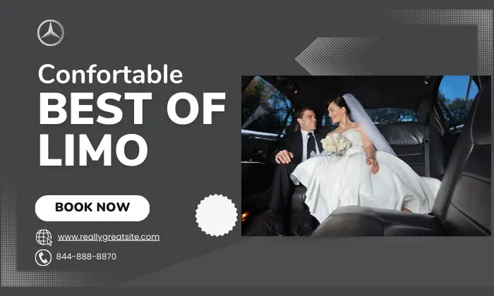 Luxurious Stretch Limo Rental Services | Best Of Limo